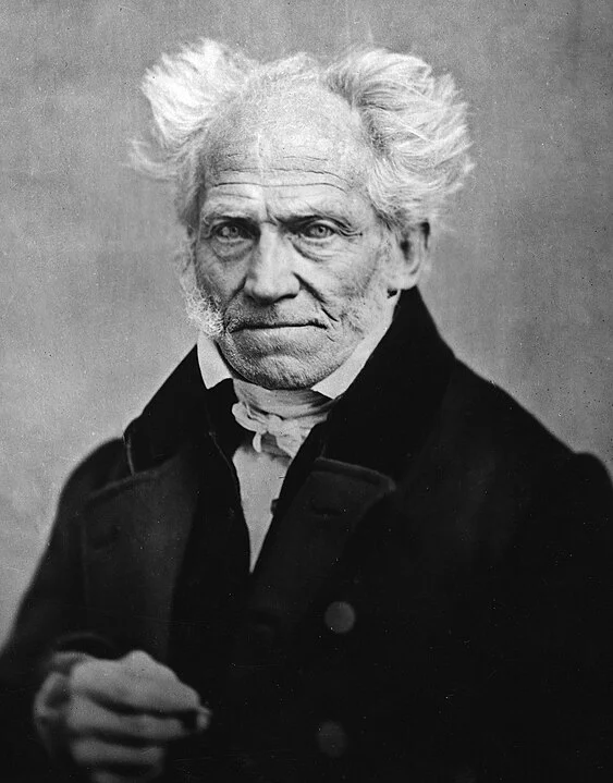 8 Frases de Arthur Schopenhauer para Refletir